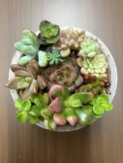 あき様 リクエスト 2点 まとめ商品