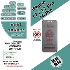 iPhone 17 /17Pro/16Pro 非光沢覗き見防止フィルムb