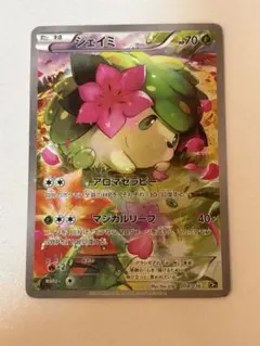 2026年最新】シェイミ cp5 幻·伝説ドリームキラコレクションの人気