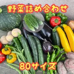 野菜セット 野菜詰め合わせ 80サイズのサムネイル