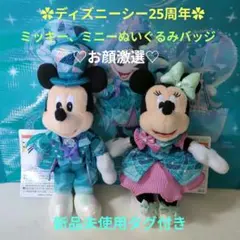 ディズニーシー25周年ぬいぐるみバッジ