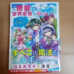 その無能、実は世界最強の魔法使い ～無能と蔑まれ、貴族家から追い出されたが、ギ…