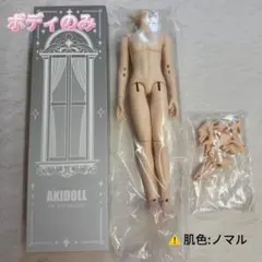ねんどろいど対応 可動素体 ＆ 豊富なお手替えパーツセット