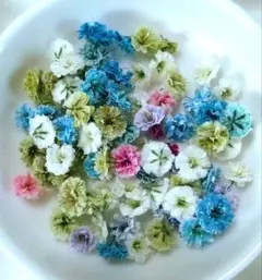 No,371☘️かすみ草のドライフラワー