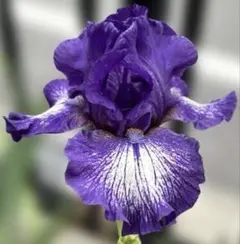 みどり様 リクエスト 2点 まとめ商品