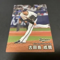 プロ野球チップスカード2026 若月健矢 オリックス・バファローズ
