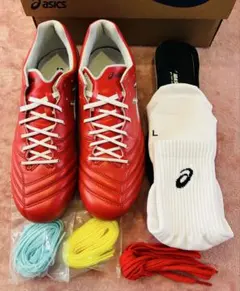 アシックス DS LIGHT X-FLY PRO 3 初回カラー特典付き