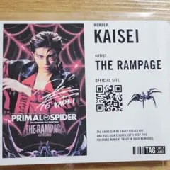 武知海青　サイン　アルバム 2025年最新】武知海青 サインの人気アイテム - メルカリ