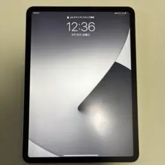 Apple iPad Pro 11 第二世代　256ギガ