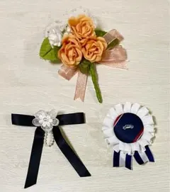 Item thumbnail for item 2c1080df-1c67-45e2-9b47-5dc9b4386db0