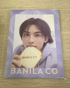 SEVENTEEN ジョンハン バニラコ 特典