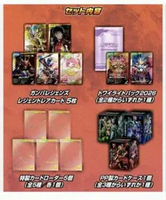 ディーナ リクウ パズドラカフェ メモリーカード パズドラ 新品未開封
