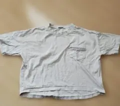 Item thumbnail for item 66e0e0e9-ec69-447e-bf04-6ab4d2b9d17c