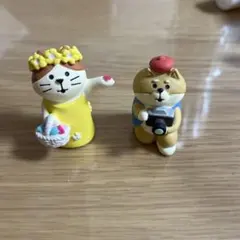 コンコンブレ　カメラマン　フラワーシャワー