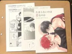 ハニーミルクフェア　4点セット