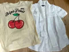 半袖Tシャツ及びシャツ