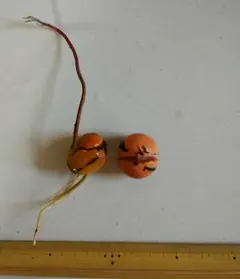 アボカド 発芽種子 2個セット 観葉植物のサムネイル