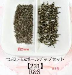 【231】つぶし玉＆ボールチップセット♦金古美♦