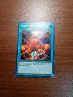遊戯王　野性解放　スーパーレア　英語版