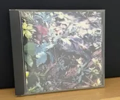 あぶらだこ　亀盤