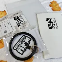 2026年最新】サカナクション 怪獣 ss 特典の人気アイテム - メルカリ