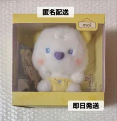 ENHYPEN Ami minifeet めいぐるみセット ENHYPEN Ami minifeet めいぐるみセット - メルカリ