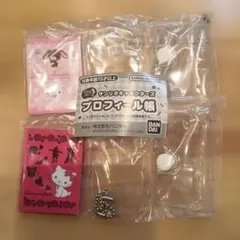 チャーミーキティ・シュガーバニーズ プロフィール帳 2冊セット　サンリオ