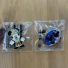 東京ディズニーランド　ピンバッジ　チャーム