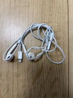 Apple EarPods with Lightning Connectorのサムネイル