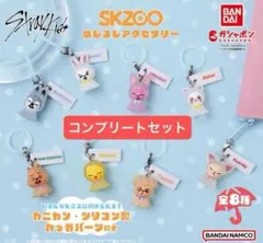 straykids スキズ SKZOO めじるしアクセサリー 全８種コンプ