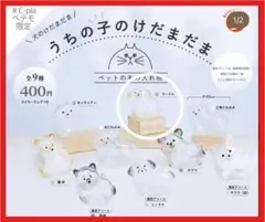 【正規品・匿名配送】プードル　うちの子のけだまだま ガチャガチャ