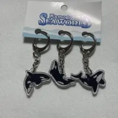 鴨川シーワールド　シャチ　三連キーホルダーのサムネイル