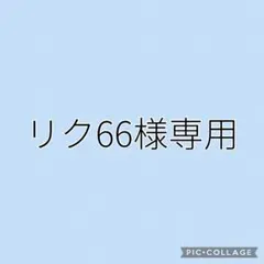 リク66様　専用　FREAK+リオ