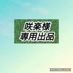 【咲楽様専用出品】うたプリ 寿嶺二 缶バッジ 2点