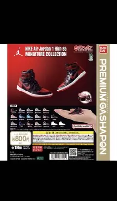 NIKE Air Jordan 1 High 85 シカゴブレッドセット