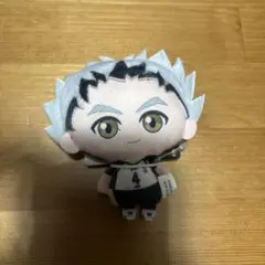 ハイキュー!! ぬいぐるみちゃーむ vol.2 木兎光太郎 マスコット