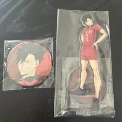 ハイキュー 円盤 黒尾鉄朗 アニメイト 特典 アクスタ 缶バッジ