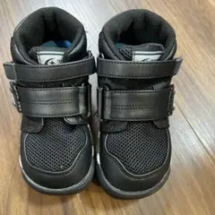 Item thumbnail for item a1673d60-0e6c-47ba-ae0c-23171b975cc3