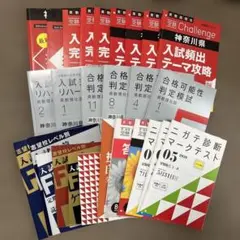 進研ゼミ　中学講座　総合受験コース　入試対策のサムネイル