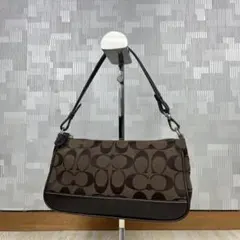 COACH コーチ アクセサリーポーチ シグネチャー 6094 ブラウン系 鞄