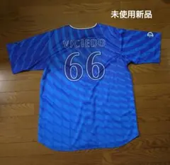 Item thumbnail for item 1f57f6a4-36b3-404b-9b75-b2c114625f29