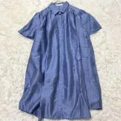 アズノゥアズ 半袖シャツワンピース ストライプ 青 半袖　F ゆったり　前開き