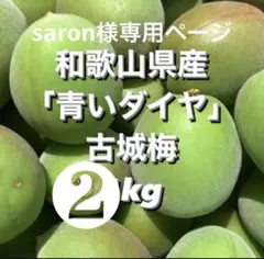 saron様専用ページ 古城梅2kg