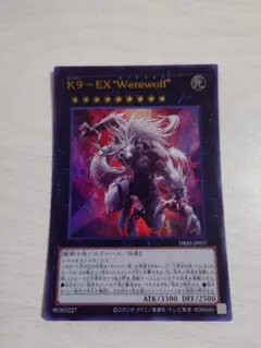 k9 遊戯王OCG デュエルモンスターズ