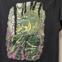 VOLCOM Tシャツ