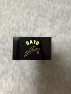 阪神タイガース 佐藤輝明 枡