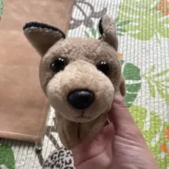 タイガ★プロフお読みください。様 リクエスト 3点 まとめ商品