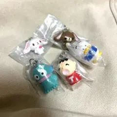 めじるしアクセサリー　サンリオ