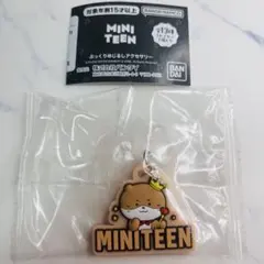 MINITEEN ぷっくりめじるしアクセサリー