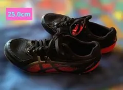 ASICS陸上スパイク〈エフォート13〉25cm☆付属品付き